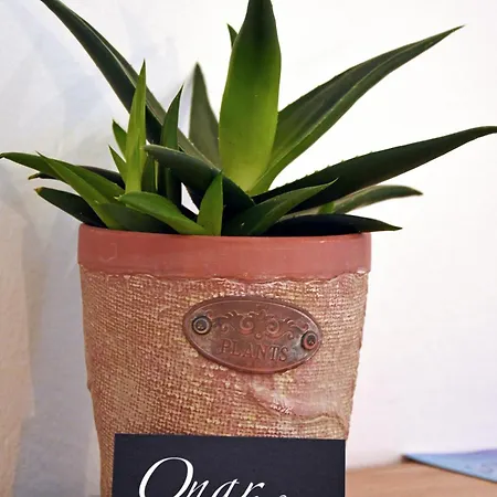 Apartamento Onar By The Sea Kontogialos