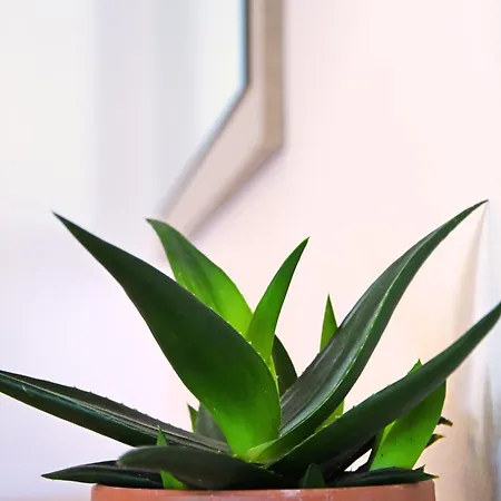 Onar By The Sea Kontogialos